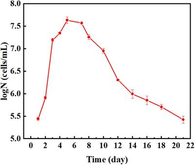 Mechanism underlying the acceleration of pitting corrosion of B30 copper–nickel alloy by Pseudomonas aeruginosa